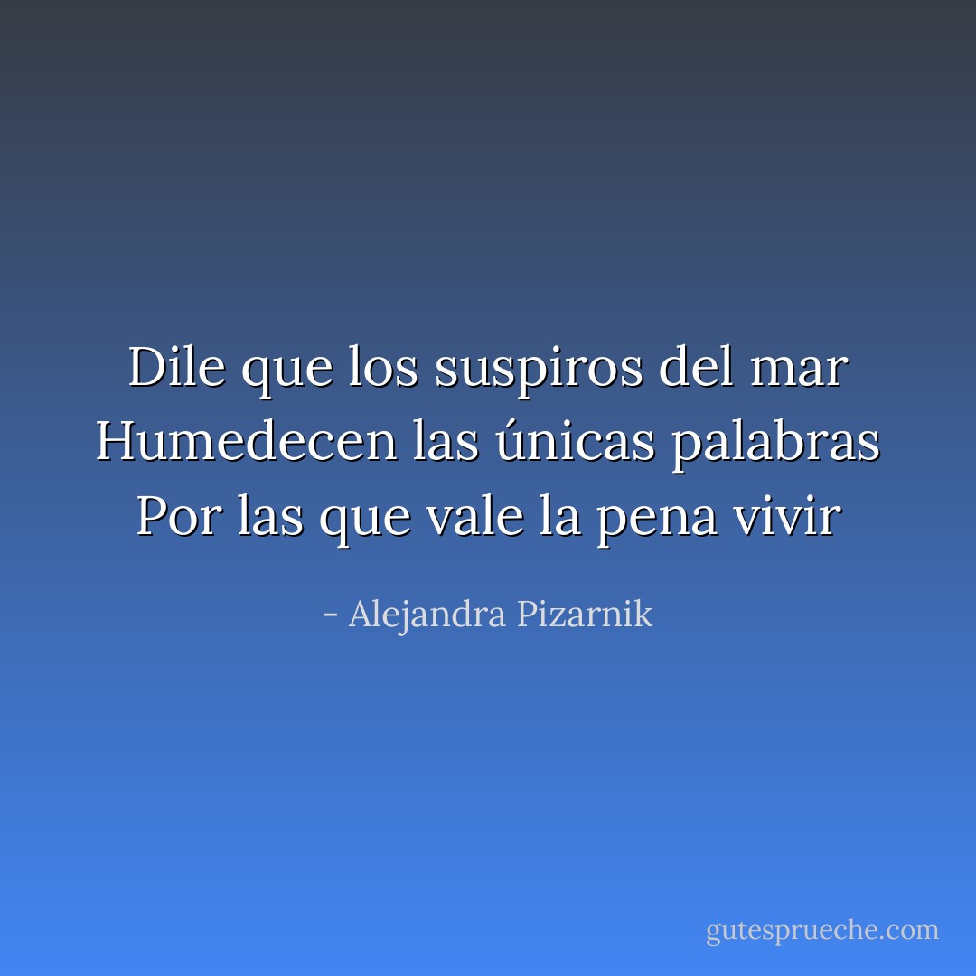 Dile que los suspiros del mar<br />Humedecen las únicas palabras<br />Por las que vale la pena vivir - Alejandra Pizarnik