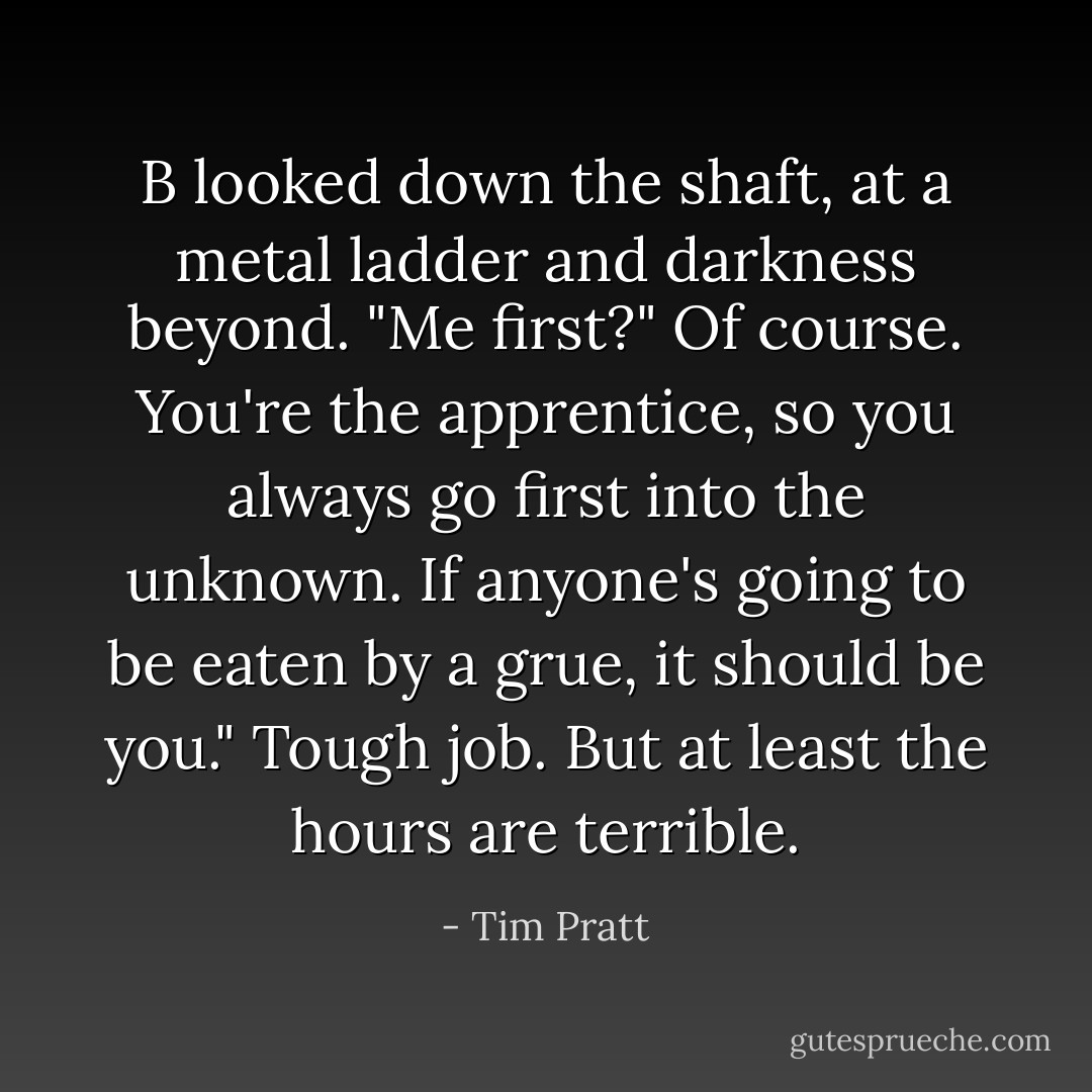 B looked down the shaft, at a metal ladder and darkness beyond. "Me first?"<br />Of course. You're the apprentice, so you always go first into the unknown. If anyone's going to be eaten by a grue, it should be you."<br />Tough job. But at least the hours are terrible. - Tim Pratt