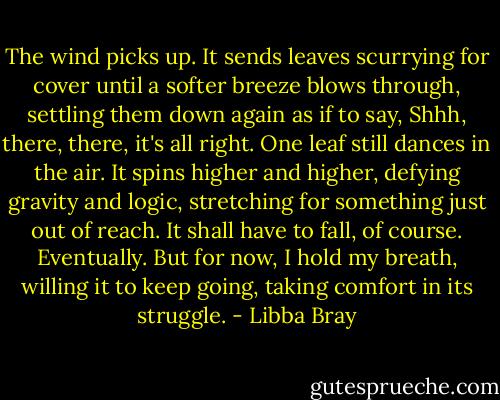The wind picks up. It sends leaves scurrying for cover until a softer breeze blows through, settling them down again as if to say, Shhh, there, there, it's all right. One leaf still dances in the air. It spins higher and higher, defying gravity and logic, stretching for something just out of reach. It shall have to fall, of course. Eventually. But for now, I hold my breath, willing it to keep going, taking comfort in its struggle. - Libba Bray