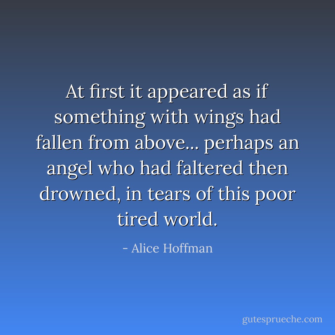 At first it appeared as if something with wings had fallen from above... perhaps an angel who had faltered then drowned, in tears of this poor tired world. - Alice Hoffman