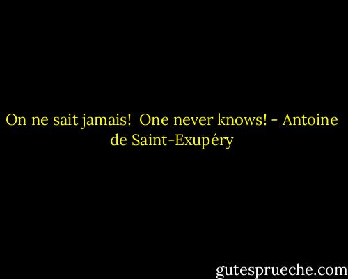 On ne sait jamais! <br />One never knows! - Antoine de Saint-Exupéry