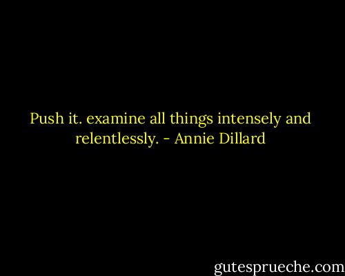 Push it. examine all things intensely and relentlessly. - Annie Dillard