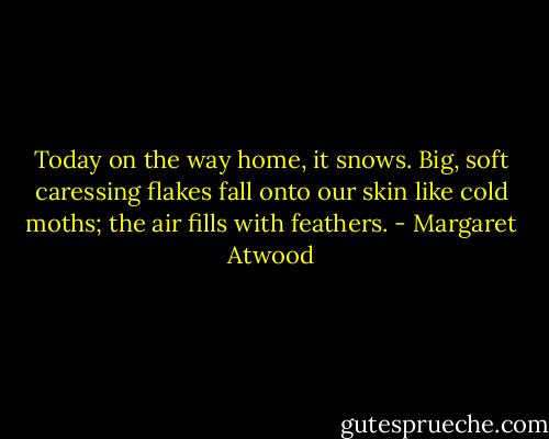 Today on the way home, it snows. Big, soft caressing flakes fall onto our skin like cold moths; the air fills with feathers. - Margaret Atwood