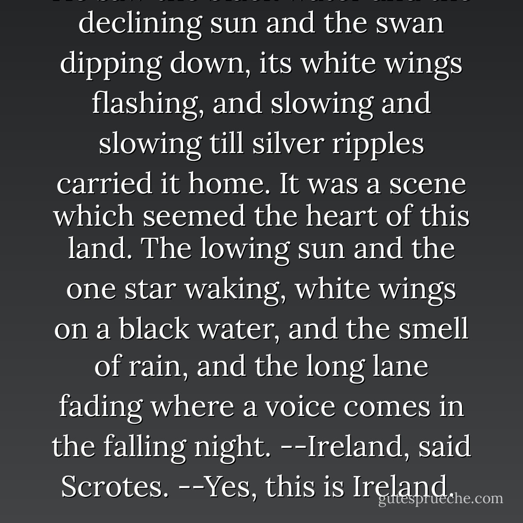 He saw the black water and the declining sun and the swan dipping down, its white wings flashing, and slowing and slowing till silver ripples carried it home. It was a scene which seemed the heart of this land. The lowing sun and the one star waking, white wings on a black water, and the smell of rain, and the long lane fading where a voice comes in the falling night.<br />--Ireland, said Scrotes.<br />--Yes, this is Ireland.<br /> - Jamie O'Neill