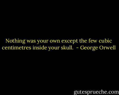 Nothing was your own except the few cubic centimetres inside your skull.  - George Orwell