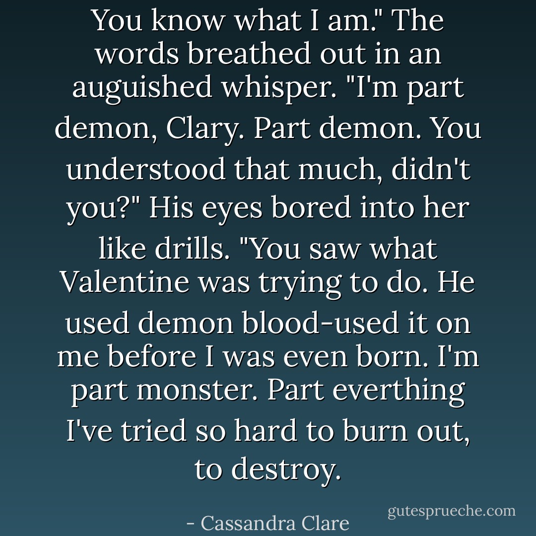 You know what I am." The words breathed out in an auguished whisper. "I'm part demon, Clary. Part demon. You understood that much, didn't you?" His eyes bored into her like drills. "You saw what Valentine was trying to do. He used demon blood-used it on me before I was even born. I'm part monster. Part everthing I've tried so hard to burn out, to destroy. - Cassandra Clare