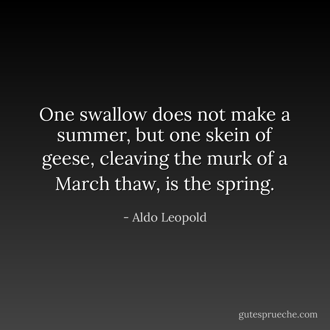 One swallow does not make a summer, but one skein of geese, cleaving the murk of a March thaw, is the spring. - Aldo Leopold