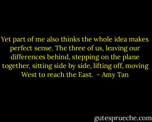 Yet part of me also thinks the whole idea makes perfect sense. The three of us, leaving our differences behind, stepping on the plane together, sitting side by side, lifting off, moving West to reach the East.  - Amy Tan