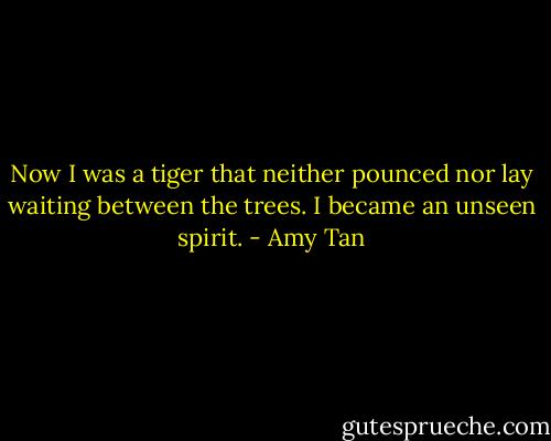 Now I was a tiger that neither pounced nor lay waiting between the trees. I became an unseen spirit. - Amy Tan