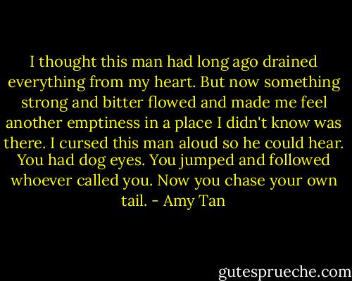 I thought this man had long ago drained everything from my heart. But now something strong and bitter flowed and made me feel another emptiness in a place I didn't know was there. I cursed this man aloud so he could hear. You had dog eyes. You jumped and followed whoever called you. Now you chase your own tail. - Amy Tan