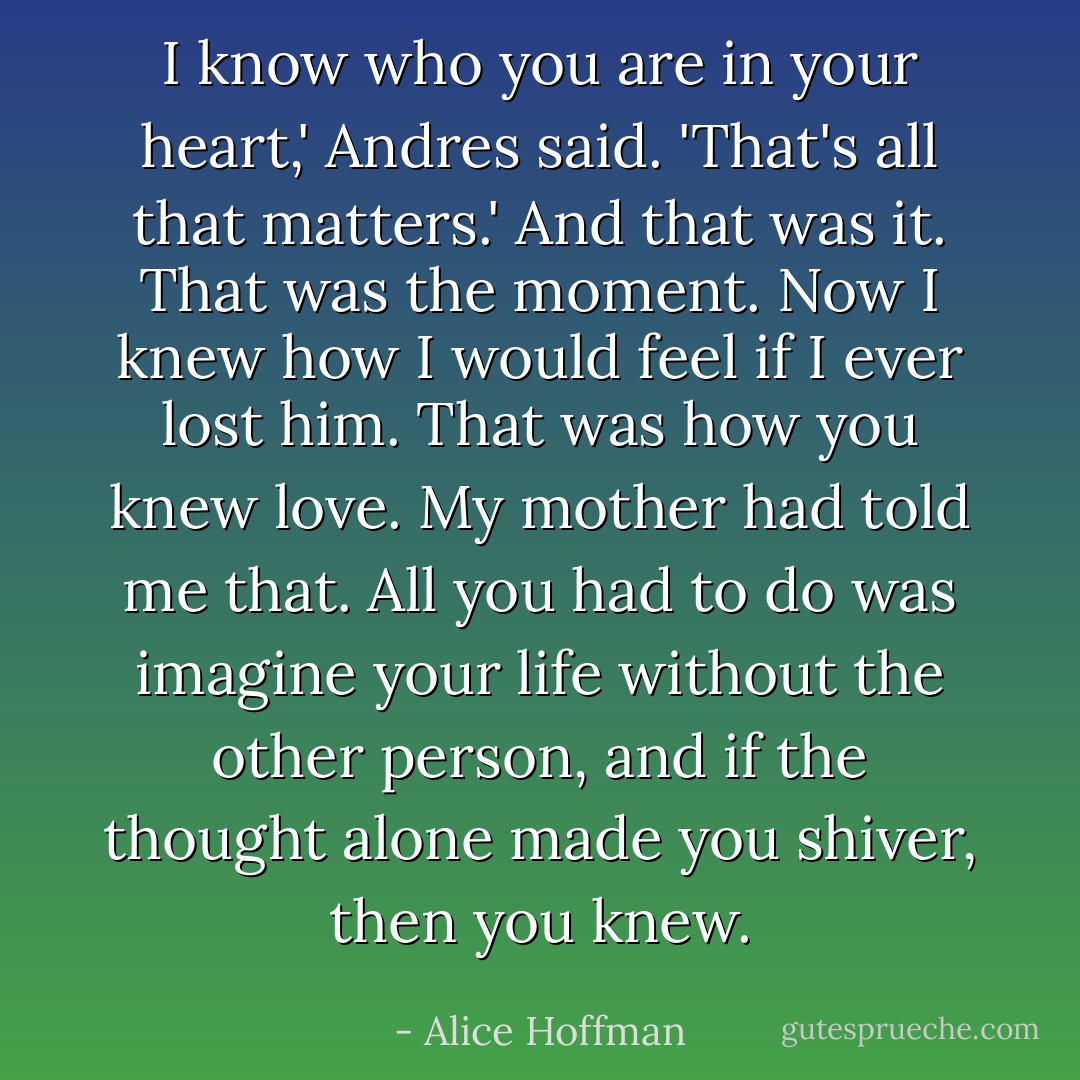 I know who you are in your heart,' Andres said. 'That's all that matters.' And that was it. That was the moment. Now I knew how I would feel if I ever lost him. That was how you knew love. My mother had told me that. All you had to do was imagine your life without the other person, and if the thought alone made you shiver, then you knew. - Alice Hoffman