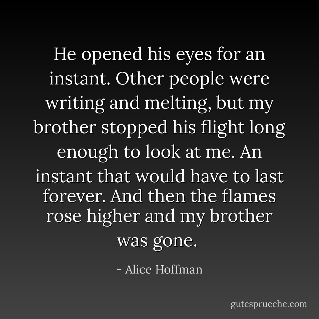He opened his eyes for an instant. Other people were writing and melting, but my brother stopped his flight long enough to look at me. An instant that would have to last forever. And then the flames rose higher and my brother was gone.  - Alice Hoffman