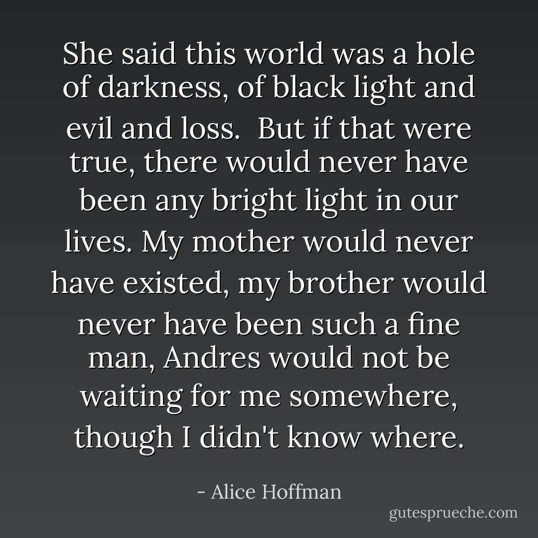 She said this world was a hole of darkness, of black light and evil and loss. <br />But if that were true, there would never have been any bright light in our lives. My mother would never have existed, my brother would never have been such a fine man, Andres would not be waiting for me somewhere, though I didn't know where. - Alice Hoffman