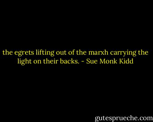 the egrets lifting out of the marxh carrying the light on their backs. - Sue Monk Kidd