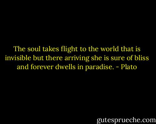 The soul takes flight to the world that is invisible but there arriving she is sure of bliss and forever dwells in paradise. - Plato