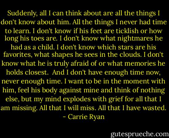 Suddenly, all I can think about are all the things I don't know about him. All the things I never had time to learn. I don't know if his feet are ticklish or how long his toes are. I don't know what nightmares he had as a child. I don't know which stars are his favorites, what shapes he sees in the clouds. I don't know what he is truly afraid of or what memories he holds closest. <br />And I don't have enough time now, never enough time. I want to be in the moment with him, feel his body against mine and think of nothing else, but my mind explodes with grief for all that I am missing. All that I will miss. All that I have wasted. - Carrie Ryan