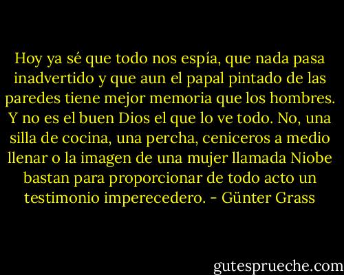 Hoy ya sé que todo nos espía, que nada pasa inadvertido y que aun el papal pintado de las paredes tiene mejor memoria que los hombres. Y no es el buen Dios el que lo ve todo. No, una silla de cocina, una percha, ceniceros a medio llenar o la imagen de una mujer llamada Niobe bastan para proporcionar de todo acto un testimonio imperecedero. - Günter Grass