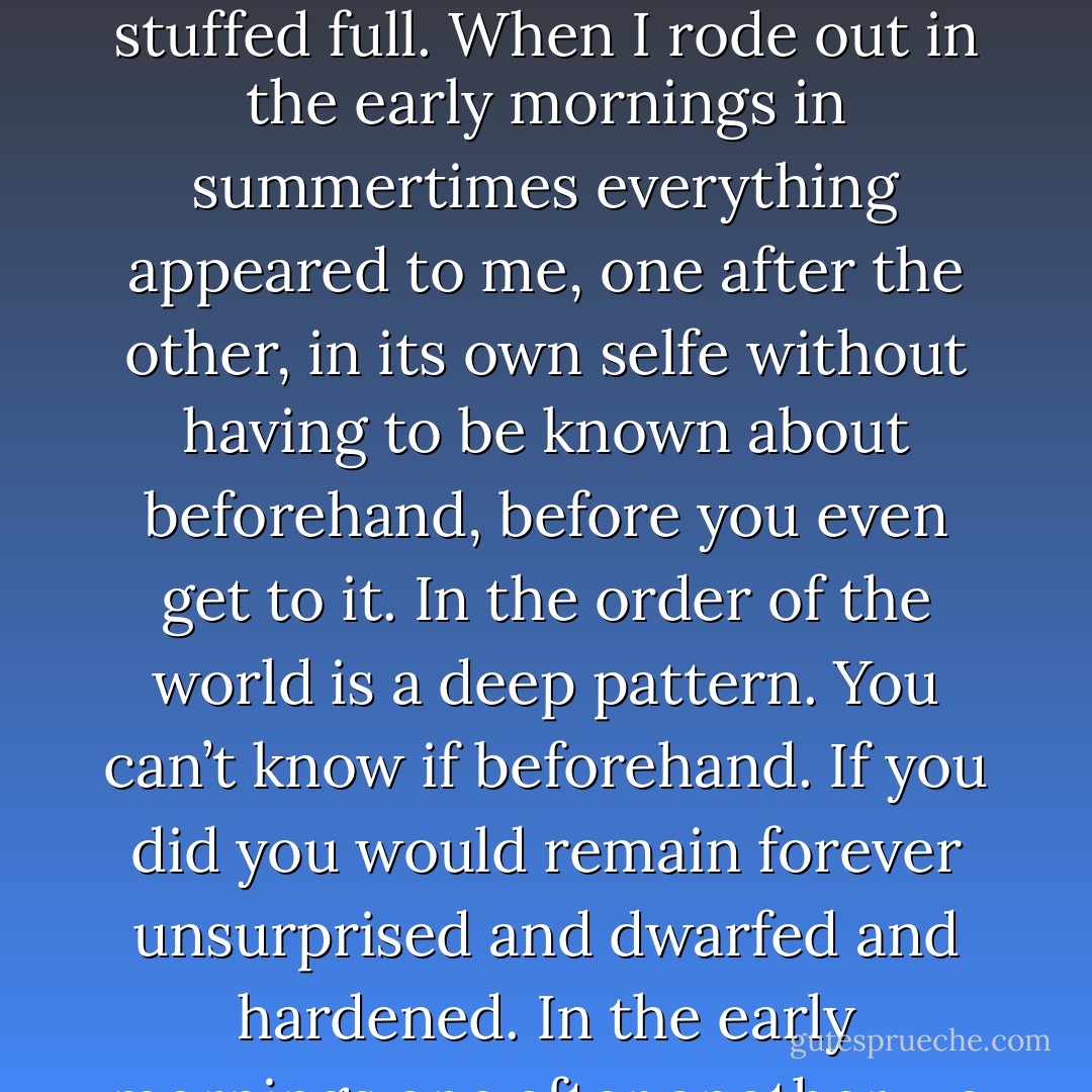 For we must not dwell on Death, as it is a mystery and it is something Unknown we leave to the Lord and his disposing for if we knew everything we would be too full of perfectly known things, and thus never rested nor content but driven with busyness and stuffed full. When I rode out in the early mornings in summertimes everything appeared to me, one after the other, in its own selfe without having to be known about beforehand, before you even get to it. In the order of the world is a deep pattern. You can’t know if beforehand. If you did you would remain forever unsurprised and dwarfed and hardened. In the early mornings one after another we broke up the planes of water in the pools of Beaverdam with slow steps, horse and rider, and the trees appeared in their reflections like underwater spirits of themselves. Before these things a person is silent. - Paulette Jiles