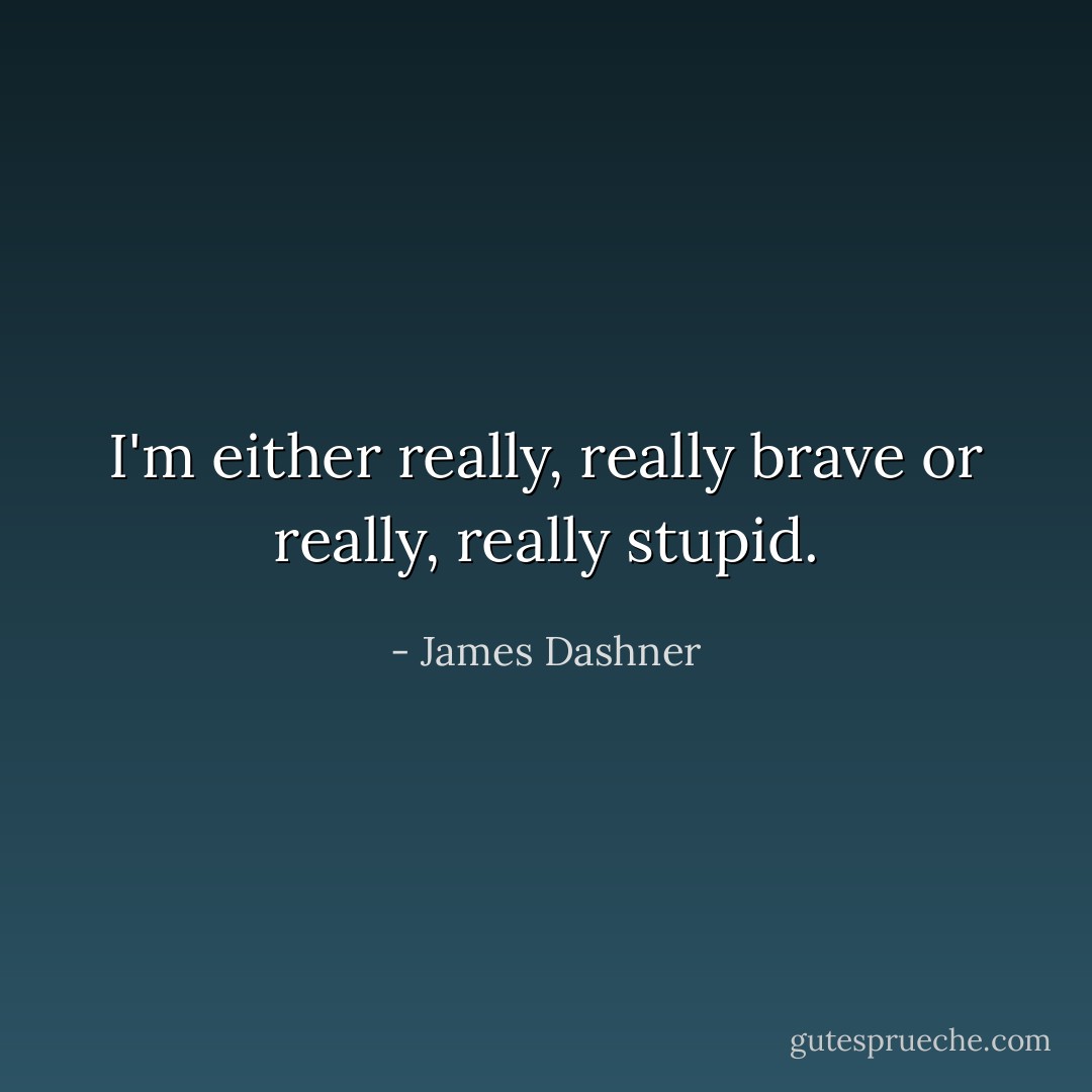 I'm either really, really brave or really, really stupid. - James Dashner