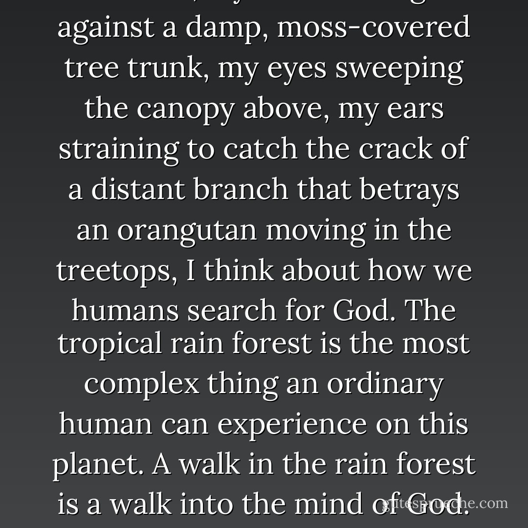 As I sit, my back leaning against a damp, moss-covered tree trunk, my eyes sweeping the canopy above, my ears straining to catch the crack of a distant branch that betrays an orangutan moving in the treetops, I think about how we humans search for God. The tropical rain forest is the most complex thing an ordinary human can experience on this planet. A walk in the rain forest is a walk into the mind of God. - Biruté M.F. Galdikas