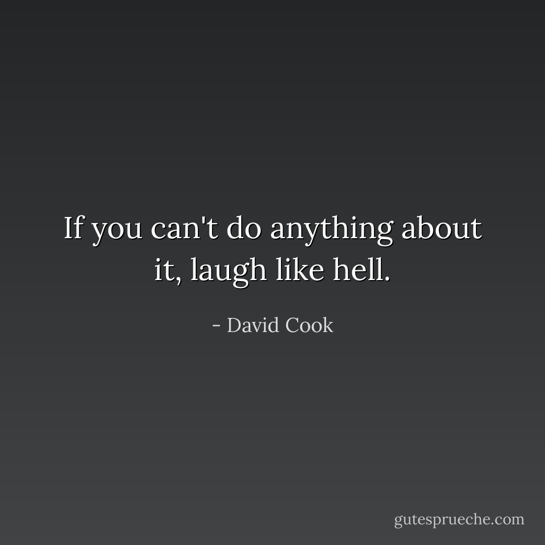 If you can't do anything about it, laugh like hell. - David Cook