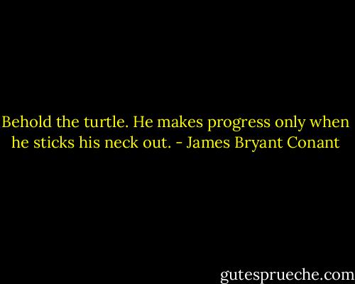 Behold the turtle. He makes progress only when he sticks his neck out. - James Bryant Conant