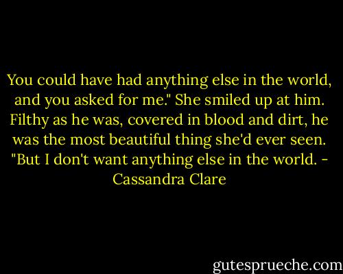 You could have had anything else in the world, and you asked for me."<br />She smiled up at him. Filthy as he was, covered in blood and dirt, he was the most beautiful thing she'd ever seen.<br />"But I don't want anything else in the world. - Cassandra Clare