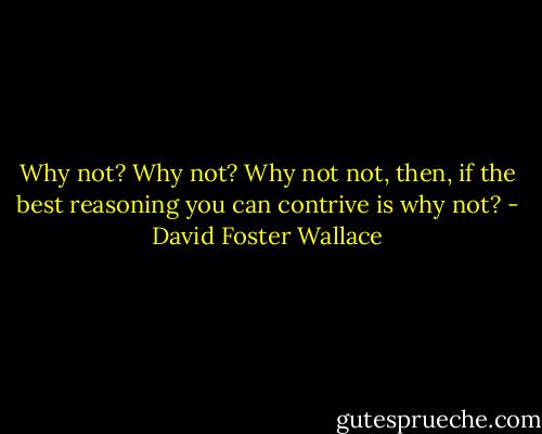 Why not? Why not? Why not not, then, if the best reasoning you can contrive is why not? - David Foster Wallace