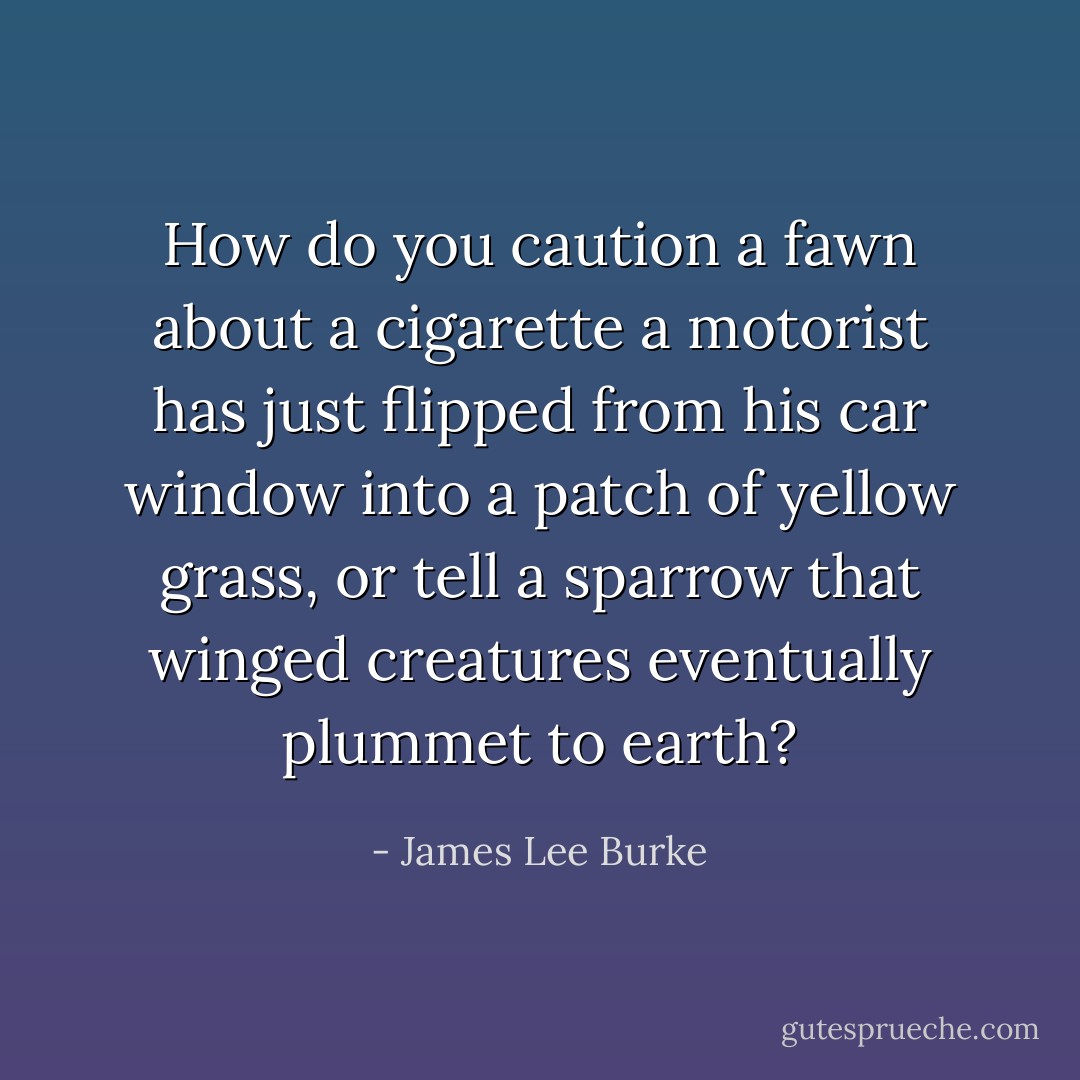 How do you caution a fawn about a cigarette a motorist has just flipped from his car window into a patch of yellow grass, or tell a sparrow that winged creatures eventually plummet to earth? - James Lee Burke