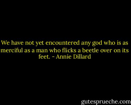 We have not yet encountered any god who is as merciful as a man who flicks a beetle over on its feet. - Annie Dillard