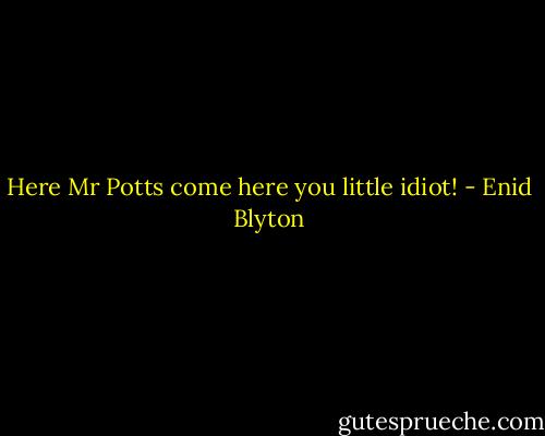 Here Mr Potts come here you little idiot! - Enid Blyton