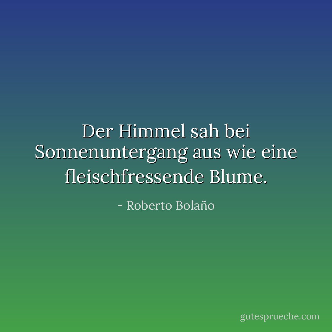 Der Himmel sah bei Sonnenuntergang aus wie eine fleischfressende Blume. - Roberto Bolaño<