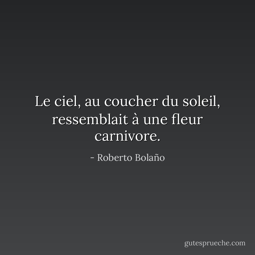 Le ciel, au coucher du soleil, ressemblait à une fleur carnivore. - Roberto Bolaño