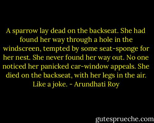 A sparrow lay dead on the backseat. She had found her way through a hole in the windscreen, tempted by some seat-sponge for her nest. She never found her way out. No one noticed her panicked car-window appeals. She died on the backseat, with her legs in the air. Like a joke. - Arundhati Roy