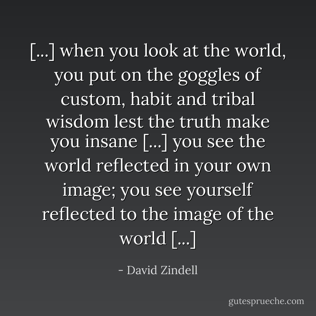 [...] when you look at the world, you put on the goggles of custom, habit and tribal wisdom lest the truth make you insane [...] you see the world reflected in your own image; you see yourself reflected to the image of the world [...] - David Zindell