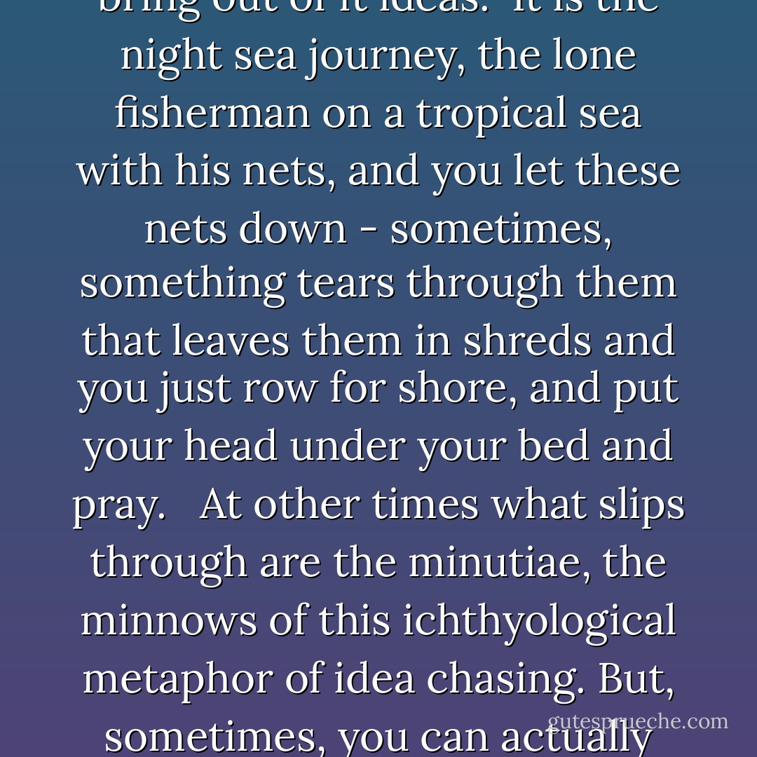 The creative act is a letting down of the net of human imagination into the ocean of chaos on which we are suspended, and the attempt to bring out of it ideas.<br /><br />It is the night sea journey, the lone fisherman on a tropical sea with his nets, and you let these nets down - sometimes, something tears through them that leaves them in shreds and you just row for shore, and put your head under your bed and pray. <br /><br />At other times what slips through are the minutiae, the minnows of this ichthyological metaphor of idea chasing.<br />But, sometimes, you can actually bring home something that is food, food for the human community that we can sustain ourselves on and go forward. - Terence McKenna