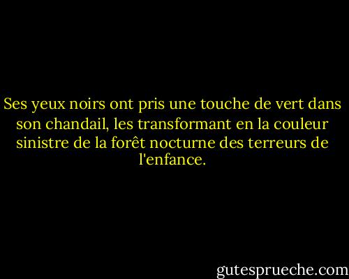 Ses yeux noirs ont pris une touche de vert dans son chandail, les transformant en la couleur sinistre de la forêt nocturne des terreurs de l'enfance. - Darian North