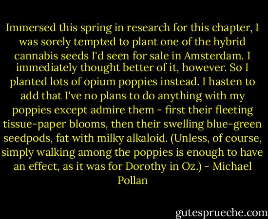 Immersed this spring in research for this chapter, I was sorely tempted to plant one of the hybrid cannabis seeds I'd seen for sale in Amsterdam. I immediately thought better of it, however. So I planted lots of opium poppies instead. I hasten to add that I've no plans to do anything with my poppies except admire them - first their fleeting tissue-paper blooms, then their swelling blue-green seedpods, fat with milky alkaloid. (Unless, of course, simply walking among the poppies is enough to have an effect, as it was for Dorothy in Oz.) - Michael Pollan