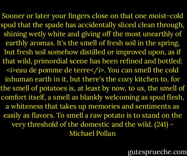 Sooner or later your fingers close on that one moist-cold spud that the spade has accidentally sliced clean through, shining wetly white and giving off the most unearthly of earthly aromas. It's the smell of fresh soil in the spring, but fresh soil somehow distilled or improved upon, as if that wild, primordial scene has been refined and bottled: <i>eau de pomme de terre</i>. You can smell the cold inhuman earth in it, but there's the cozy kitchen to, for the smell of potatoes is, at least by now, to us, the smell of comfort itself, a smell as blankly welcoming as spud flesh, a whiteness that takes up memories and sentiments as easily as flavors. To smell a raw potato is to stand on the very threshold of the domestic and the wild. (241) - Michael Pollan