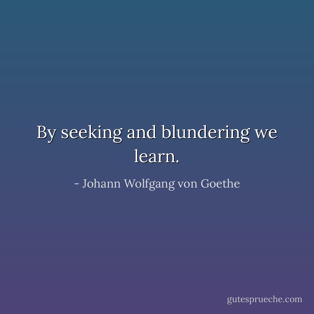 By seeking and blundering we learn. - Johann Wolfgang von Goethe