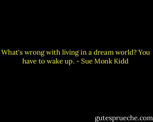 What's wrong with living in a dream world? You have to wake up. - Sue Monk Kidd