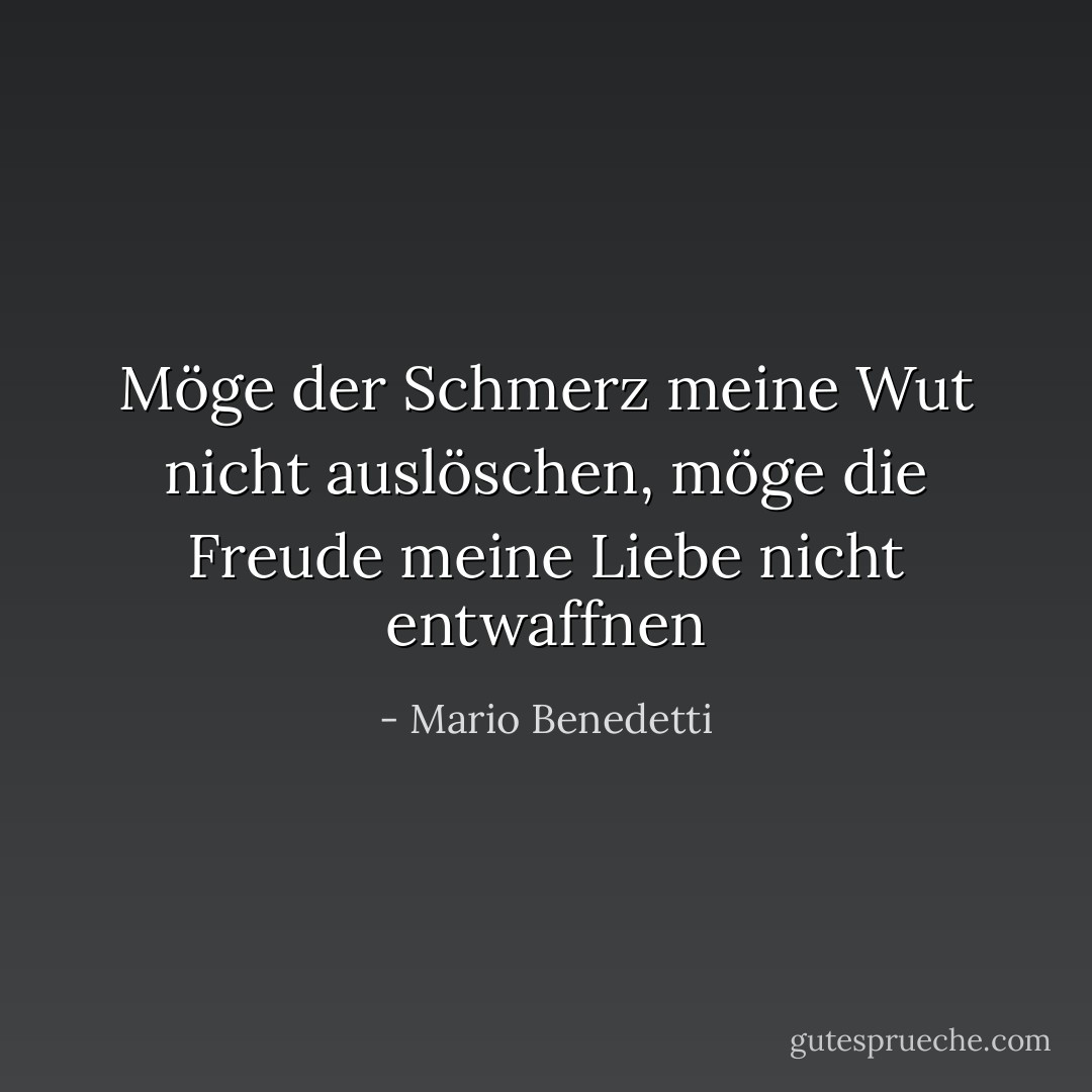 Möge der Schmerz meine Wut nicht auslöschen, möge die Freude meine Liebe nicht entwaffnen - Mario Benedetti<