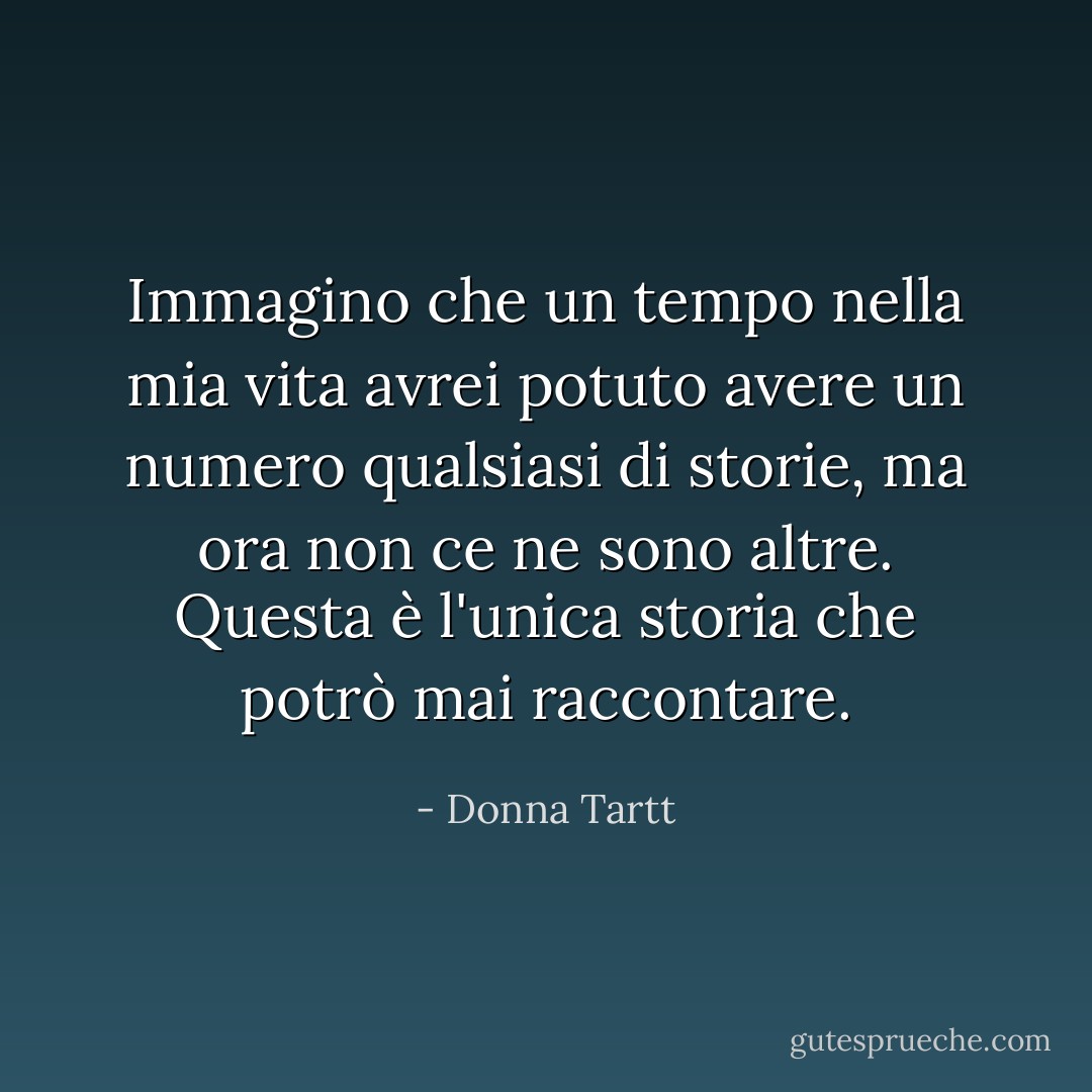 Immagino che un tempo nella mia vita avrei potuto avere un numero qualsiasi di storie, ma ora non ce ne sono altre. Questa è l'unica storia che potrò mai raccontare. - Donna Tartt