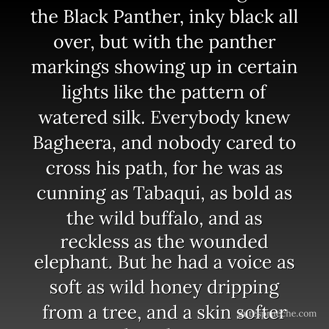 A black shadow dropped down into the circle. It was Bagheera the Black Panther, inky black all over, but with the panther markings showing up in certain lights like the pattern of watered silk. Everybody knew Bagheera, and nobody cared to cross his path, for he was as cunning as Tabaqui, as bold as the wild buffalo, and as reckless as the wounded elephant. But he had a voice as soft as wild honey dripping from a tree, and a skin softer than down. - Rudyard Kipling