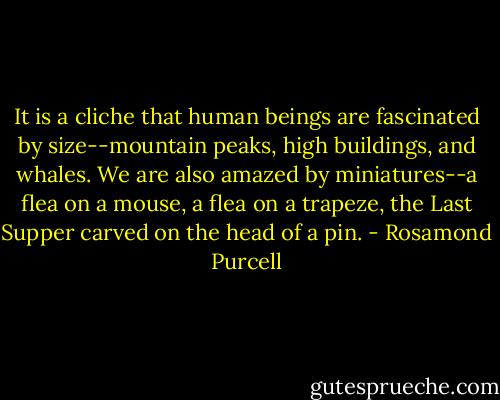 It is a cliche that human beings are fascinated by size--mountain peaks, high buildings, and whales. We are also amazed by miniatures--a flea on a mouse, a flea on a trapeze, the Last Supper carved on the head of a pin. - Rosamond Purcell