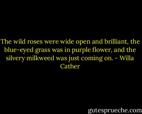 The wild roses were wide open and brilliant, the blue-eyed grass was in purple flower, and the silvery milkweed was just coming on. - Willa Cather