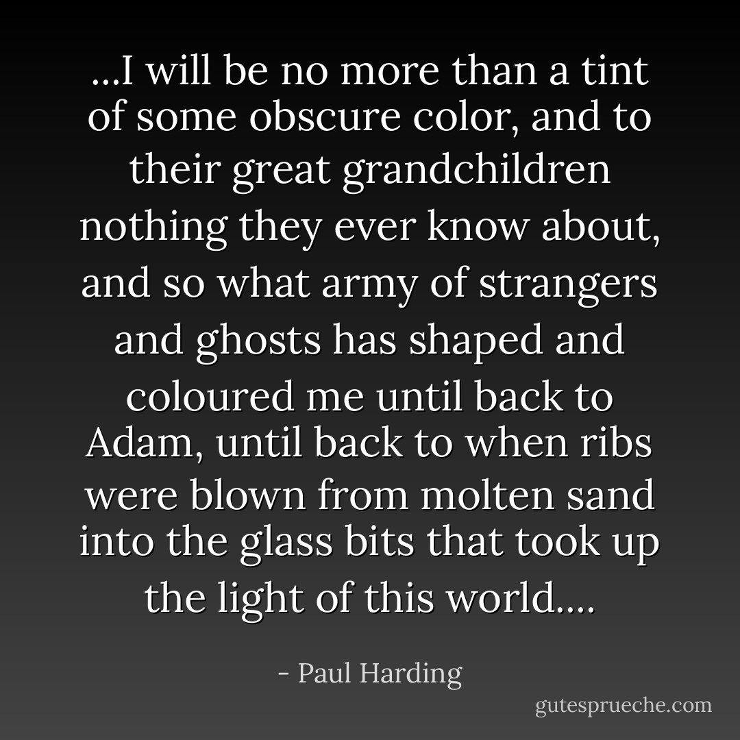 ...I will be no more than a tint of some obscure color, and to their great grandchildren nothing they ever know about, and so what army of strangers and ghosts has shaped and coloured me until back to Adam, until back to when ribs were blown from molten sand into the glass bits that took up the light of this world.... - Paul Harding