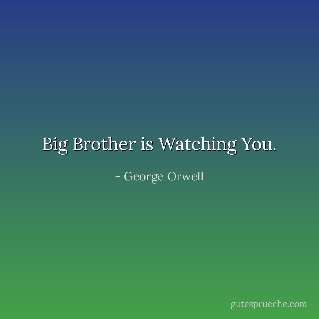 Big Brother is Watching You. - George Orwell<