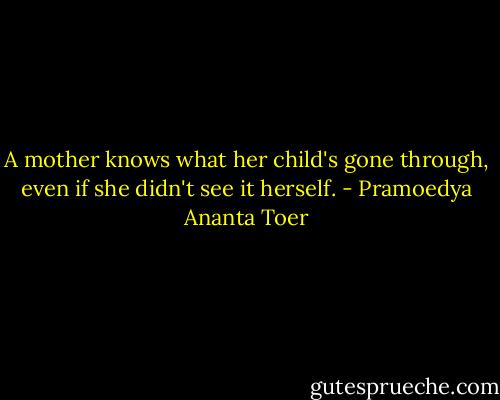 A mother knows what her child's gone through, even if she didn't see it herself. - Pramoedya Ananta Toer