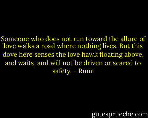 Someone who does not run toward the allure of love walks a road where nothing lives. But this dove here senses the love hawk floating above, and waits, and will not be driven or scared to safety. - Rumi